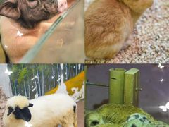 -正佳雨林生态植物园