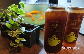 Daily Selected Iced Americano