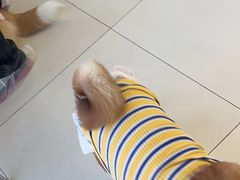 -怪兽屋·羊驼·猫咖·狗咖(俊华广场店)