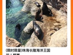 -珠海长隆海洋王国
