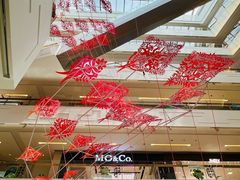 -岭南站NOVA