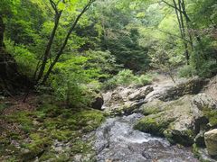 -关门山森林公园