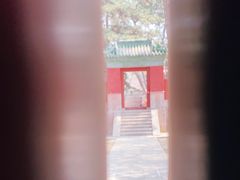 -普乐寺