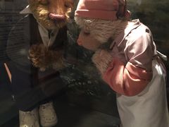 -济州岛泰迪熊博物馆