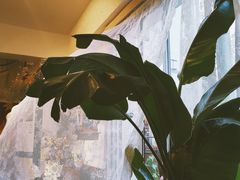 -秀儿家の小确幸花园西餐厅