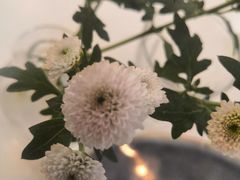 -盒马鲜生(莱蒙都会店)