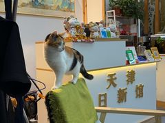 -日新剑道馆