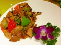 茶树菇炒猪颈肉-金象湾泰国餐厅(华林路店)