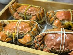 -黄记大闸蟹专卖店·活蟹·醉蟹