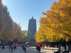 -玲珑塔公园