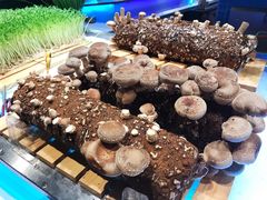 -V-ONE西雅图海鲜自助餐厅(仓山万达广场店)