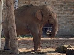 -石家庄市动物园