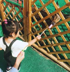 -萌宠亲子动物乐园(槐房万达店)