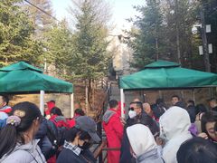 -芦芽山旅游度假区