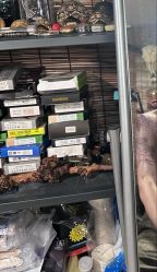 -鬼著刺青工作室·纹身设计