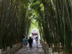 -采石矶景区