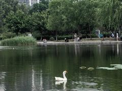 -太阳宫公园