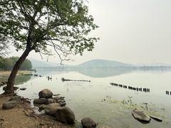 -长广溪湿地公园