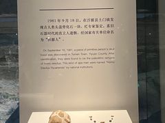 -齐文化博物馆
