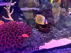 -沈阳海洋探索中心