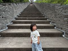 -黄贤森林公园
