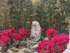 -红螺寺