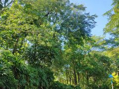 -怡海公园(桂城街道)