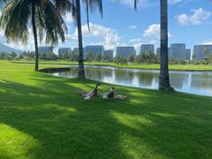 -海南鉴湖蓝湾高尔夫球会