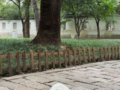 -西园戒幢律寺