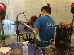 -PETKIT小佩宠物(古北店)