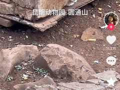 -昆明动物园