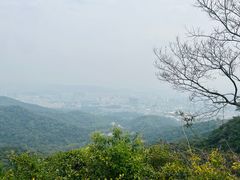 -广州市白云山风景名胜区