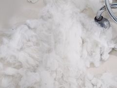 -佳雯宠物医院(金华南路分院)