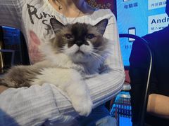 -老炮儿轰趴团建KTV桌游棋牌主题馆(五道口店（底商店))