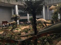 -中国西峡恐龙遗迹园
