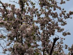 -迎泽公园