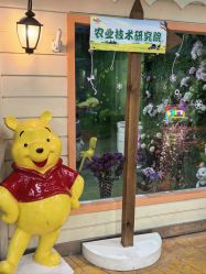 -点点梦想城(金水路店)
