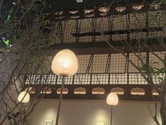 -桂满陇·海市蜃楼·黑金(国金店)