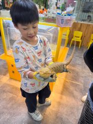 -神奇动物撸宠馆·羊驼·小浣熊·异宠(豫园店)