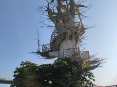 -芒洲湿地公园