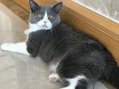 -Catmate·猫肥家润(金润铂宫店)