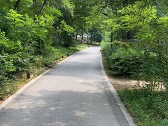 -棋盘山风景区