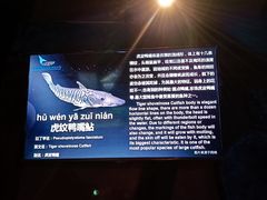 -中央电视塔旋转餐厅