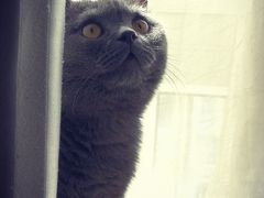 -酷狗靓猫宠物·洗护·美容·寄养(航北路店)