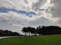 -福田红树林生态公园