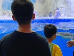 -华夏文旅海洋公园