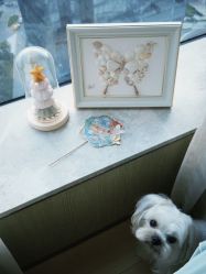 -baby bella小贝拉母婴护理中心(北京东隅店)