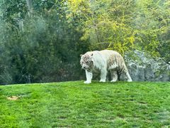 -北京野生动物园