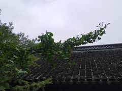 -上海佘山国家森林公园天马山园