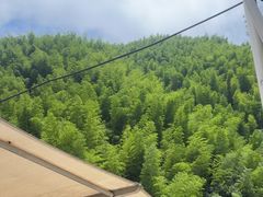 -将军关探险漂流